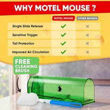 Load image into Gallery viewer, 4-Pack Mouse Trap
