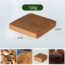 Load image into Gallery viewer, Organic Coconut Coir For Plants
