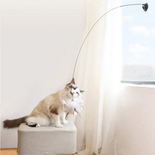 Load image into Gallery viewer, Interactive Bird Simulation Cat Toy Set
