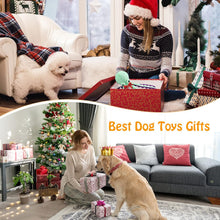Load image into Gallery viewer, Squeaky Plush Dog Toy – Soft, Durable Companion for All Dog Sizes
