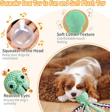 Load image into Gallery viewer, Squeaky Plush Dog Toy – Soft, Durable Companion for All Dog Sizes
