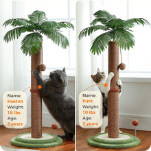 Load image into Gallery viewer, Cat Tree Palm Style for Indoor Cats
