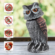 Load image into Gallery viewer, Realistic 2-Pack Owl Decoy with Rotating Head – Outdoor Bird &amp; Pest Repellent
