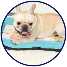 Load image into Gallery viewer, Pet Silk Cooling Mat
