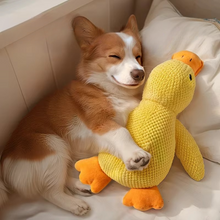 Load image into Gallery viewer, Durable Plush Duck Toy for Dogs - Bite-Resistant with Soothing Sounds
