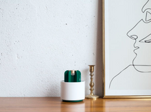 Load image into Gallery viewer, Mosquito Cactus Lamp
