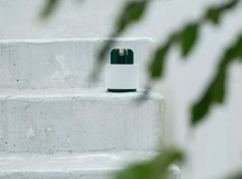 Load image into Gallery viewer, Mosquito Cactus Lamp
