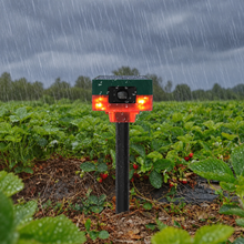 Load image into Gallery viewer, 360 Degree Solar Motion Repeller with LED Strobe and 13 Sound Patterns for Gardens and Farms
