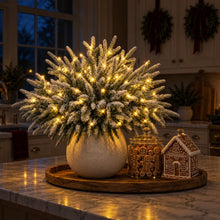 Load image into Gallery viewer, Light Up Norfolk Pine Branch with Warm Golden Twinkles Battery Powered in Classic Red Berry Or Frosted
