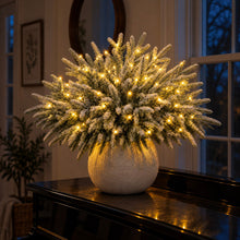 Load image into Gallery viewer, Light Up Norfolk Pine Branch with Warm Golden Twinkles Battery Powered in Classic Red Berry Or Frosted
