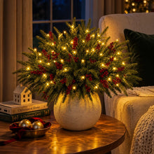 Load image into Gallery viewer, Light Up Norfolk Pine Branch with Warm Golden Twinkles Battery Powered in Classic Red Berry Or Frosted
