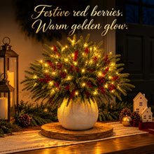 Load image into Gallery viewer, Light Up Norfolk Pine Branch with Warm Golden Twinkles Battery Powered in Classic Red Berry Or Frosted
