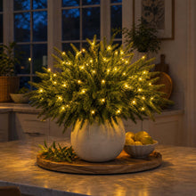 Load image into Gallery viewer, Light Up Norfolk Pine Branch with Warm Golden Twinkles Battery Powered in Classic Red Berry Or Frosted

