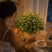 Load image into Gallery viewer, Light Up Norfolk Pine Branch with Warm Golden Twinkles Battery Powered in Classic Red Berry Or Frosted
