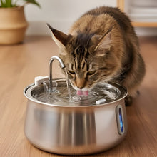 Load image into Gallery viewer, Cat Water Fountain, Stainless Steel, Large Capacity
