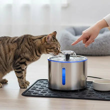 Load image into Gallery viewer, Stainless Steel Cat Water Fountain, Silent Filtered Automatic Dispenser
