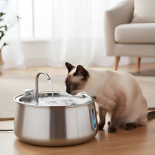 Load image into Gallery viewer, Cat Water Fountain, Stainless Steel, Large Capacity
