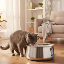 Load image into Gallery viewer, Cat Water Fountain, Stainless Steel, Large Capacity

