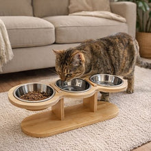 Load image into Gallery viewer, Elevated Cat Bowl, 15° Tilt Adjustable Bamboo Stand with Stainless Steel Bowls
