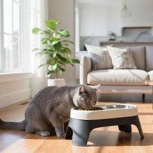 Load image into Gallery viewer, Elevated Cat Bowl, Non-Slip Stainless Steel Feeding Dish
