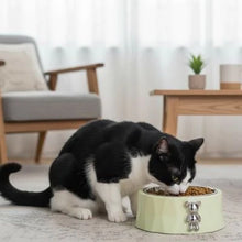 Load image into Gallery viewer, Cat Slow Feeder Bowl Anti-Slip Ceramic
