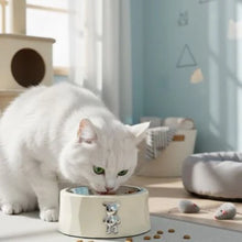 Load image into Gallery viewer, Cat Slow Feeder Bowl Anti-Slip Ceramic
