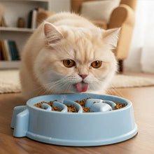 Load image into Gallery viewer, Cat Slow Feeder Bowl For Anti-Choking And Easy Digestion
