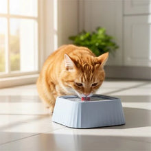Load image into Gallery viewer, Elevated Cat Water Bowls, Anti-Splash Floating Design

