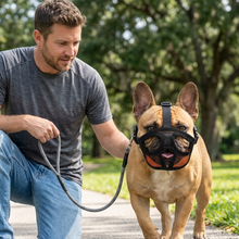 Load image into Gallery viewer, French Bulldog Muzzle Adjustable Mesh Design
