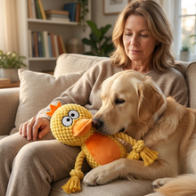 Load image into Gallery viewer, Duck Plush Dog Toy Durable &amp; Comforting
