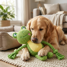 Load image into Gallery viewer, Green Frog Plush Dog Toy, Soft and Durable
