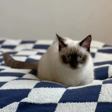 Load image into Gallery viewer, Nordic Soft Checkerboard Woven Blanket
