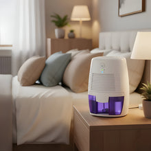Load image into Gallery viewer, Quiet Moisture Control System for Comfortable Home and Professional Spaces
