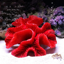 Load image into Gallery viewer, Vibrant Resin Coral Reef Decor for Aquariums
