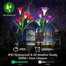 Load image into Gallery viewer, Enchanting Solar-Powered Lily Lights for Gardens and Patios
