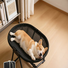 Load image into Gallery viewer, Elevated Pet Bed with Breathable Mesh and Collapsible Iron Frame, Portable Storage Bag
