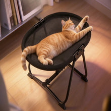 Load image into Gallery viewer, Elevated Pet Bed with Breathable Mesh and Collapsible Iron Frame, Portable Storage Bag
