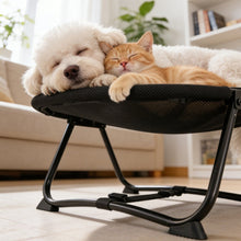 Load image into Gallery viewer, Elevated Pet Bed with Breathable Mesh and Collapsible Iron Frame, Portable Storage Bag
