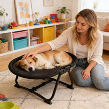 Load image into Gallery viewer, Elevated Pet Bed with Breathable Mesh and Collapsible Iron Frame, Portable Storage Bag
