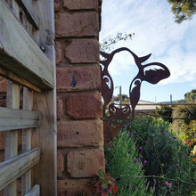 Load image into Gallery viewer, Metal Artwork For The Garden
