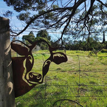 Load image into Gallery viewer, Metal Artwork For The Garden
