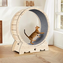 Load image into Gallery viewer, Indoor Cat Exercise Wheel with Carpeted Runway for Weight Control and Activity
