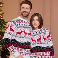 Load image into Gallery viewer, Anime 3D Print Ugly Christmas Pullover for Autumn and Winter
