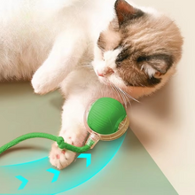 Load image into Gallery viewer, Interactive Cat Ball Toy with Faux Tail, Automatic Rolling Smart Mouse Imitation Pet Trainer

