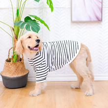 Load image into Gallery viewer, Breathable Cotton Stripe T-Shirt for Dogs
