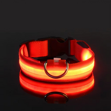 Load image into Gallery viewer, LED Glow in the Dark Dog Leash with Nylon Safety Light
