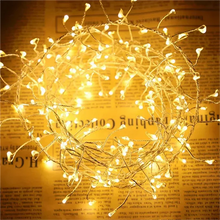 Load image into Gallery viewer, LED Cluster String Light, Warm White and Cool White, Silver Wire, Waterproof for Christmas, Wedding and Party
