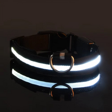 Load image into Gallery viewer, LED Glow in the Dark Dog Leash with Nylon Safety Light
