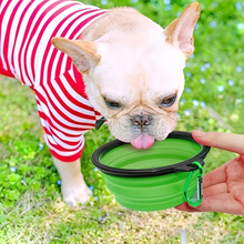 Load image into Gallery viewer, Collapsible Silicone Pet Bowl for Travel
