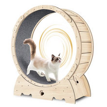 Load image into Gallery viewer, Indoor Cat Exercise Wheel with Carpeted Runway for Weight Control and Activity
